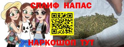 Альфа ПВП Будённовск